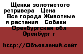 Щенки золотистого ретривера › Цена ­ 15 000 - Все города Животные и растения » Собаки   . Оренбургская обл.,Оренбург г.
